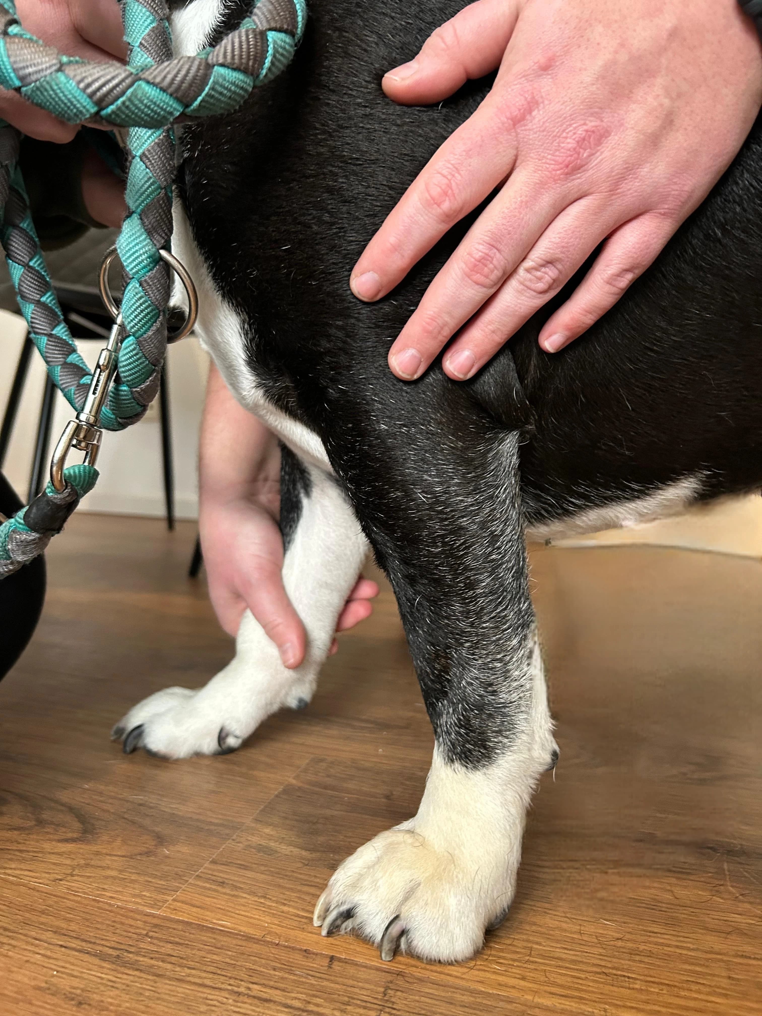 Behandlung Eindruck 1